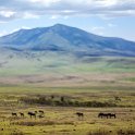 TZA ARU Ngorongoro 2016DEC23 041 : 2016, 2016 - African Adventures, Africa, Arusha, Date, December, Eastern, Month, Ngorongoro, Places, Tanzania, Trips, Year